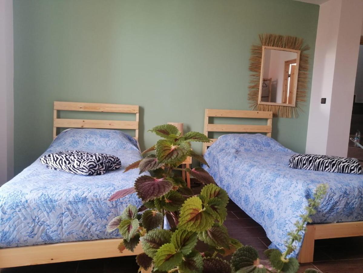 Dar Mouja, Eco-Friendly Home Imsouane Luaran gambar
